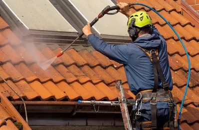 Démoussage et hydrofuge de toiture à Alzing